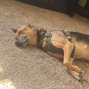 Meet your Posher, Macy